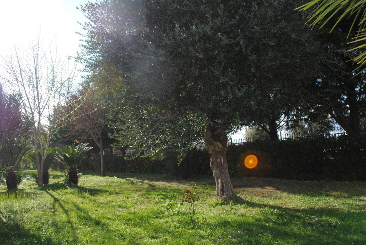 Pirro Alloggio per agriturismo *