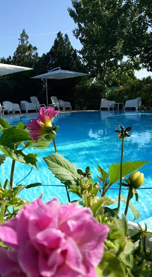 Pirro Alloggio per agriturismo *